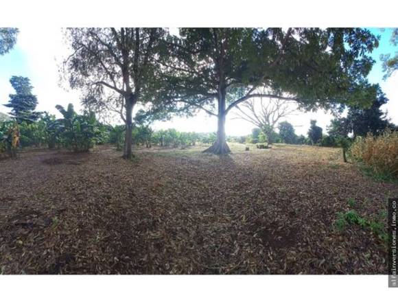 Parcelas Nueva Guadalupe