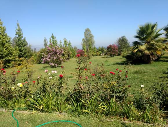Residencia Adulto mayor/ Paine en Santiago (Comuna)