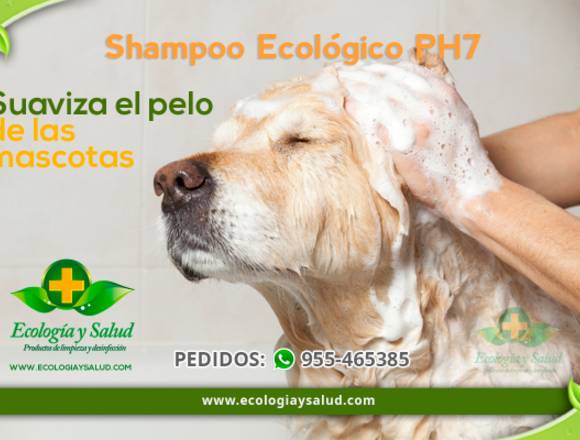 SHAMPOO SIN SAL PH7 - DETIENE LA CAIDA en San Juan de Lurigancho (Lima 36) (Distrito)