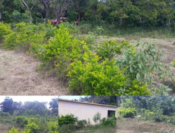 TERRENO EN VENTA, AUTOPISTA 6 NOVIEMBRE! en Santo Domingo de Guzmán (Municipio)
