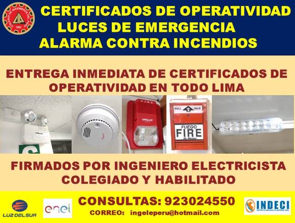 INGENIERO ELECTRICISTA COLEGIADO Y HABILITADO en Lima (Lima 1) (Distrito)
