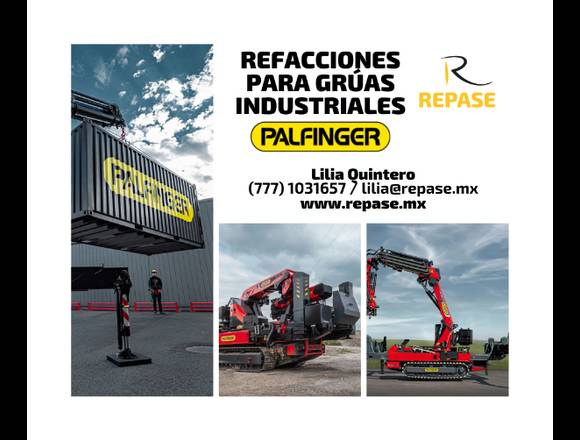 REFACCIONES PARA GRÚAS INDUSTRIALES PALFINGER en Azcapotzalco (Municipio)