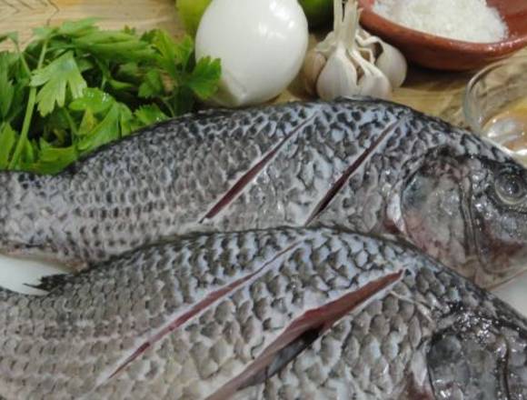 venta de pescado fresco en Cartagena (Municipio)