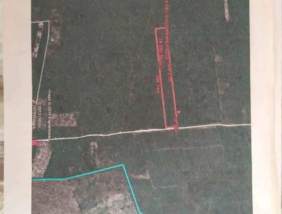 Venta de terreno en hunucma en Mérida (Municipio)