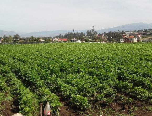 Venta Terreno – Yaruqui – UNICO - 4135 m2 en Quito (Cantón)