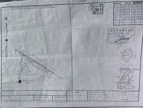Se vende finca de 13.5 hectáreas en Guácimo (Cantón)