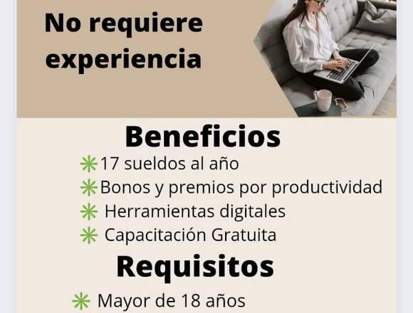 VENDEDOR(A) PROMOTOR(A) en Lima (Lima 1) (Distrito)
