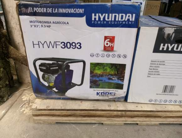Motobomba Hyundai HYWF3093 EcomaqMx en Puebla (Municipio)