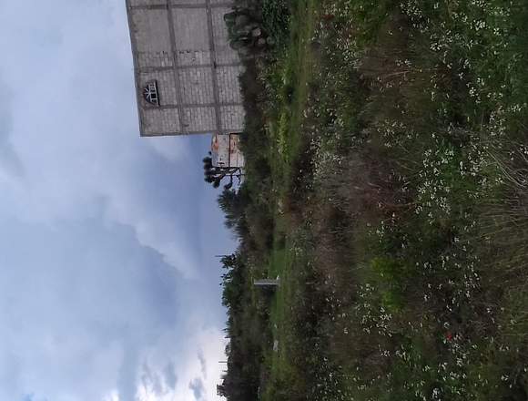 Terreno en Los Organos.