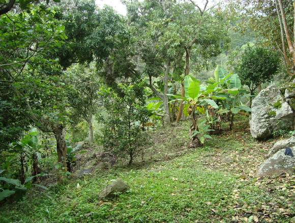 Finca Rustica Cundinamarca Ganga !