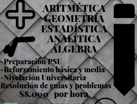 Clases Particulares Obtuve 850 Reforzamiento PSU en Santiago (Comuna)