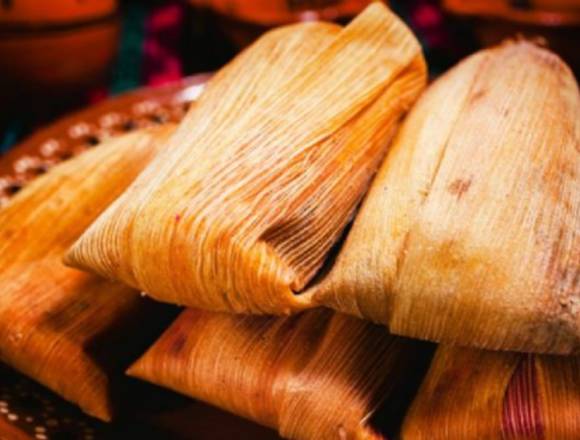 Tamales de Rojo y de Verde para Eventos en León (Municipio)