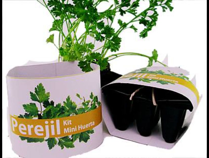 Huertas en kit de siembra eco regalos® en Bogotá, D.C. (Municipio)