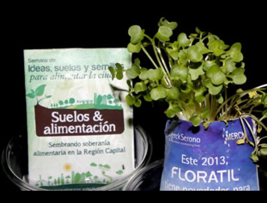 ¡Tarjetas que Germinan en Agua!