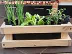 Huerta Premium eco regalos®