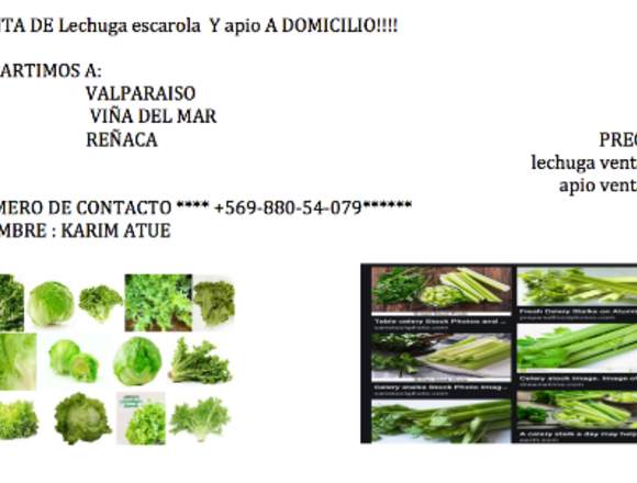 APIO Y LECHUGA ESCAROLA A DOMICILIO