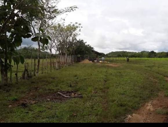 SE VENDE FINCA LECHERA CON MAQUINARIA SANTIAGO en Panamá (Distrito)