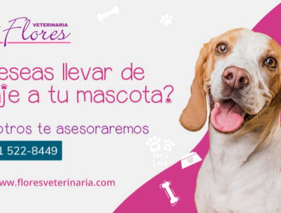 VETERINARIA FLORES –TRAMITE DE VIAJE PARA MASCOTAS en Los Olivos (Lima 39) (Distrito)