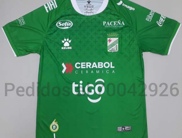 POLERAS DE BUENA CALIDAD INFO. 70042926 en Santa Cruz (Localidad)