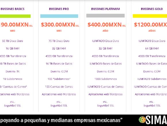 Hosting y Dominio Web en Mérida (Municipio)