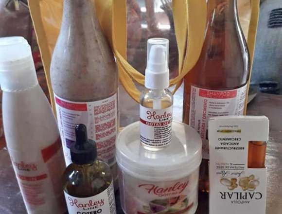 Línea de productos para el cabello en Puerto Plata (Municipio)