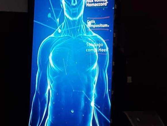 Alquiler de pantallas led en Pichincha (Cantón)