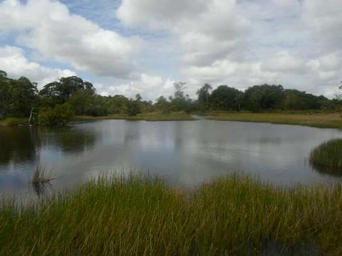 Finca de 9.080 Ha Guarico con Pista Aterrizaje en Leonardo Infante (Municipio)