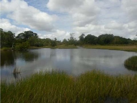 Finca de 9.080 Ha Guarico con Pista Aterrizaje