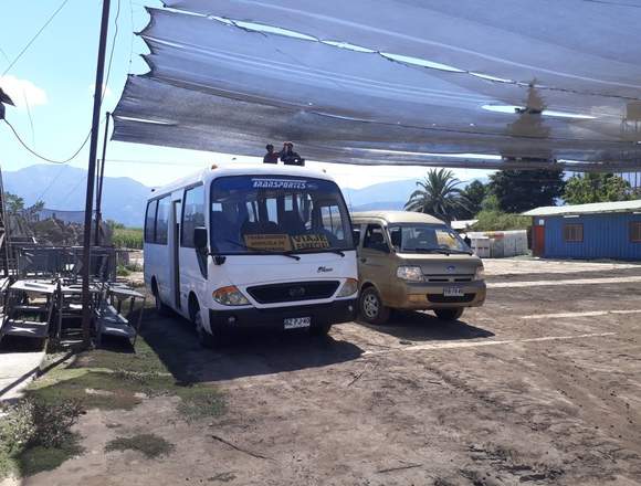 Bus mercedes y bus yueyin pluma en O'Higgins (Comuna)