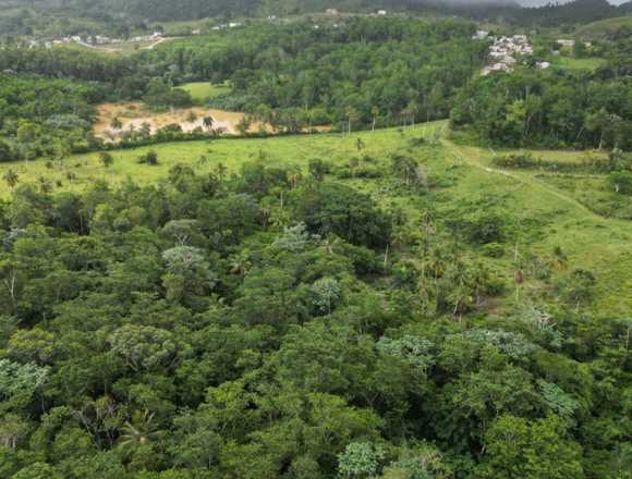 Terreno en venta190.930.00 mt2,Las Terrenas en Sánchez (Municipio)