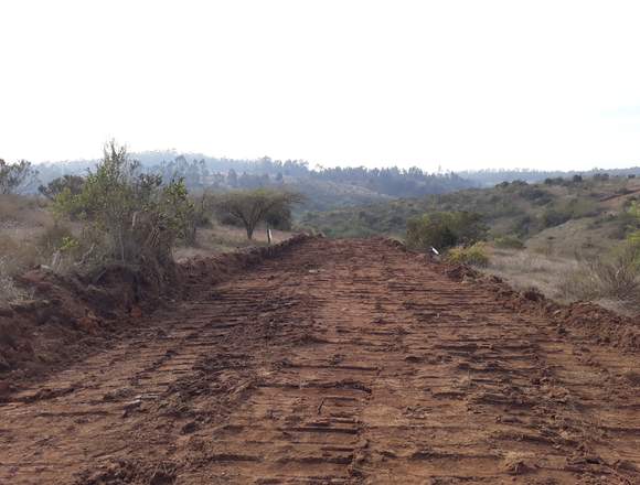 terreno de 1000m2 sector la rudilla el tabo en El Tabo (Comuna)