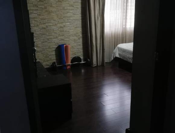 Alquilo apto Semi amoblado en Panamá (Distrito)