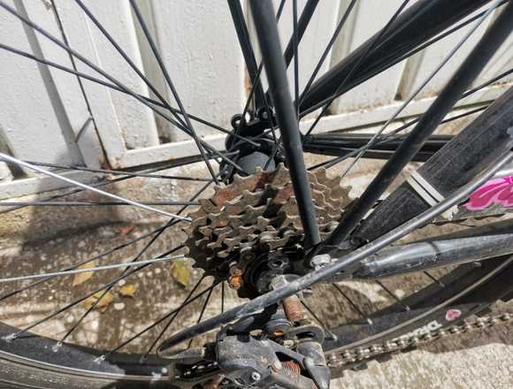 bicicleta mercurio capressi