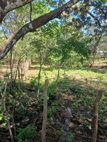 Lotes de 1000 metros cuadrados mínimo por lote en total son 35000 metr en Puntarenas (Cantón)
