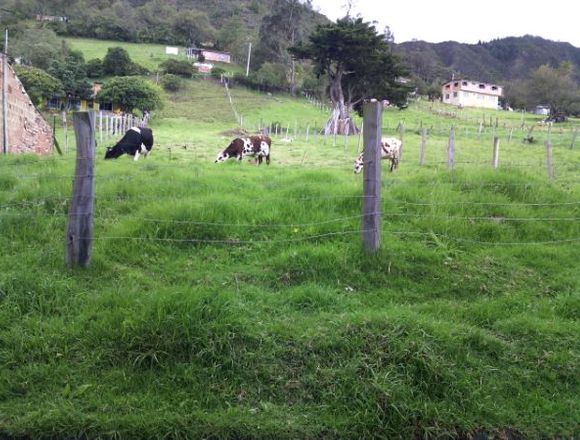 VENDO PERMUTO LINDO LOTE en Sesquilé (Municipio)