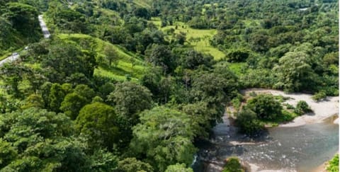 For sale | Land | Punta Peña, Chiriquí Grande | 27 Hectares | $500,000 en Bocas del Toro (Distrito)