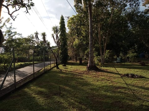 Se Vende Finca Chiriquí, Puerto Armuelles (AB) en Barú (Distrito)