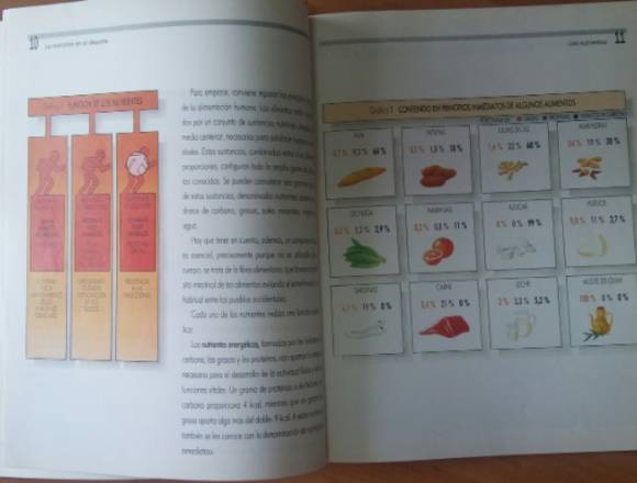 LA NUTRICIÓN EN EL DEPORTE.
