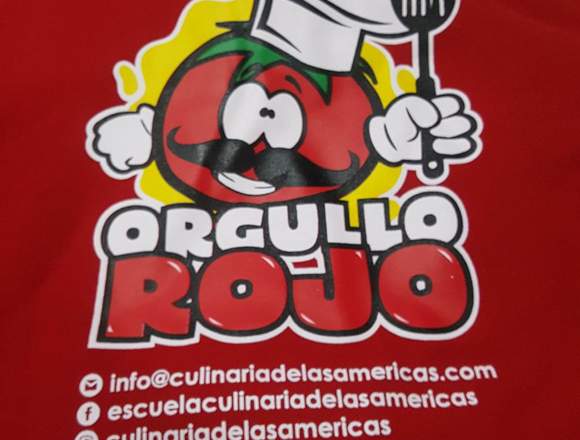 Camisas Camisetas personalizadas serigrafia en Empalme (Cantón)