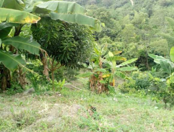 Hermosa finca lugar tranquilo y agradable en La Virginia (Municipio)