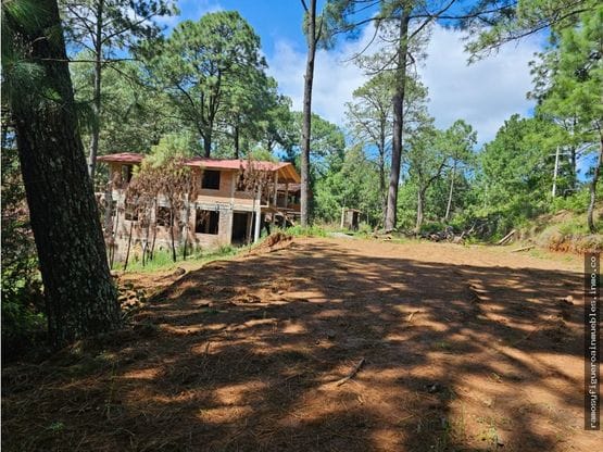 Terreno céntrico en el bosque de mazamitla