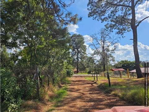 🌲🏡 TERRENO EN VENTA EN MAZAMITLA | INVERSIÓN EN ZONA DE BOSQUE 🏡🌲