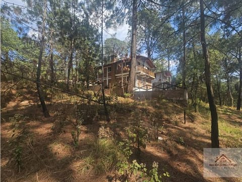 Hermoso Terreno en el Bosque de Mazamitla, Jalisco