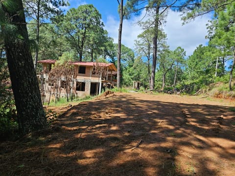 Terreno céntrico en el bosque de mazamitla en Mazamitla (Municipio)