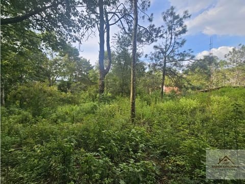 Bonito terreno en zona céntrica de mazamitla jalisco