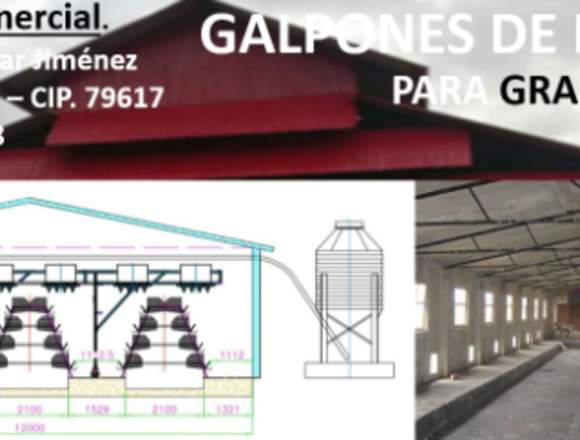 construcciones de galpones para granjas avícolas,