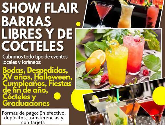 Bartender y barras libres para eventos privados. en Miguel Hidalgo (Municipio)