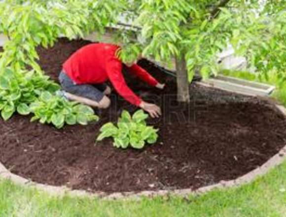Prepare su Jardín para Primavera y Verano¡¡¡ en Santiago (Comuna)