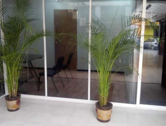 OFICINAS VIRTUALES Y FISICAS en Tlalnepantla de Baz (Municipio)