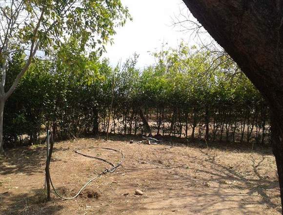 LOTE EN SABANAS DE BONDA, EXCELENTE VALORIZACIÓN en Santa Marta (Municipio)